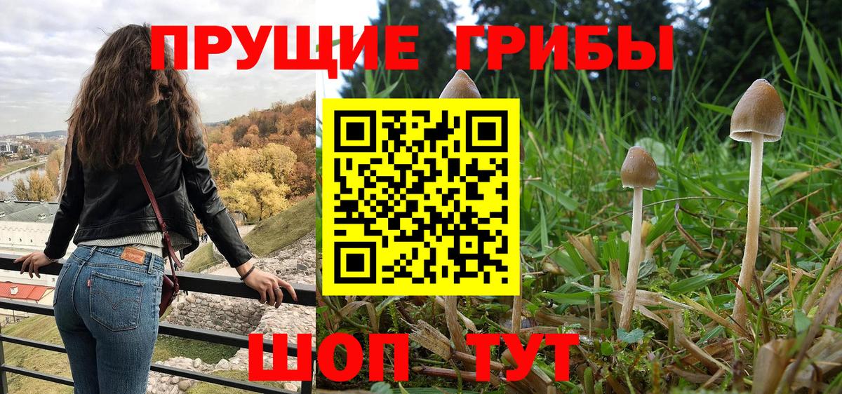 цены наркотик  Псилоцибиновые грибы ЛСД  Вход с VPN  Псилоцибиновые грибы Magic Shrooms  Лянтор 
