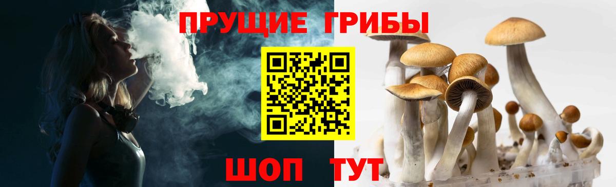 Псилоцибиновые грибы Psilocybine cubensis Лянтор